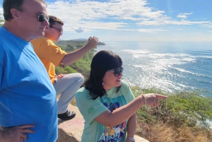 Oahu: 5 timers eksklusiv bil med chauffør – 1 til 4 personer