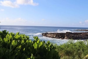 Oahu: Aktiv rundtur på øen