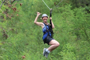 Oahu: Aerial Adventure, Climbing, & Freefall Experience