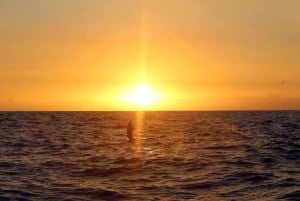 Oahu: Sunset Snorkeling and Hawaiian Buffet From Ko Olina