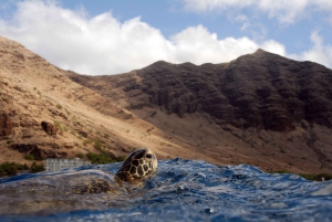 Oahu: Sunset Snorkeling and Hawaiian Buffet From Ko Olina