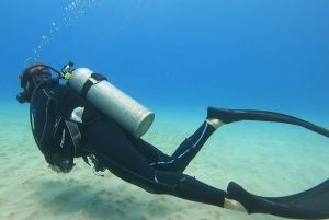 Oahu: immersione SCUBA per principianti a Electric Beach