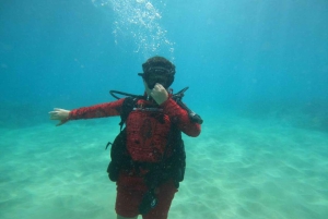 Oahu: immersione SCUBA per principianti a Electric Beach