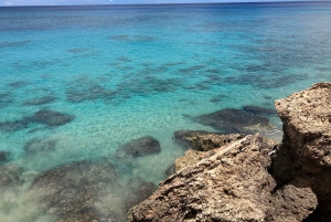 Oahu: immersione SCUBA per principianti a Electric Beach