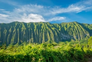 Vanuit Waikiki: Best of Oahu Fotografietour met ophaalservice