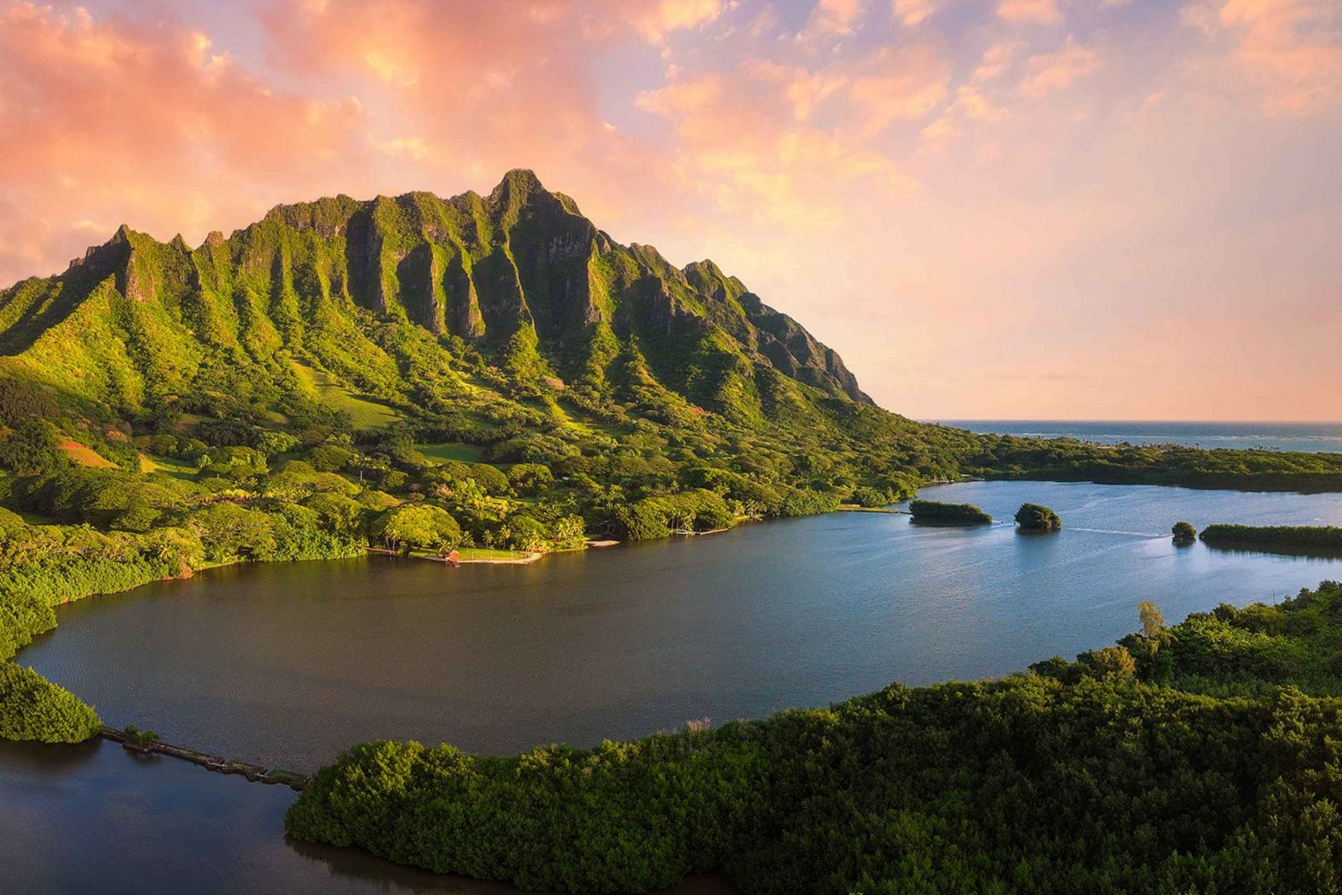 Oahu: Kualoa Movie Sites, Jungle, and Buffet Tour Package
