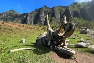 Oahu: Kualoa Movie Sites, Jungle, and Buffet Tour Package