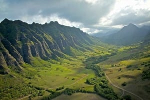 Oahu: Kualoa Movie Sites, Jungle, and Buffet Tour Package
