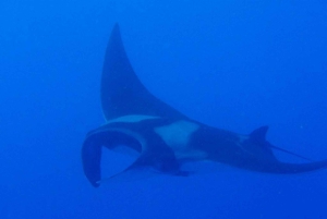 Oahu Boat Cruise to Diamond Head