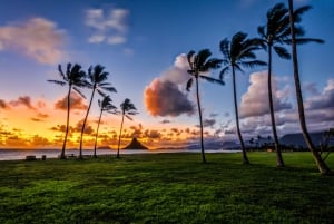 Oahu Bundle: 6 sovelluksen sisäistä ajo- ja kävely-äänikierrosta