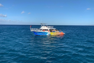 Oahu: BYOB eller Cash Bar Waikiki Sunset Cruise