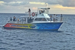 Oahu: BYOB eller Cash Bar Waikiki Sunset Cruise