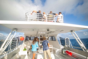 Oahu: BYOB eller Cash Bar Waikiki Sunset Cruise