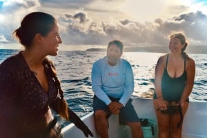 Oahu : Aventure de plongée sans cage avec les requins