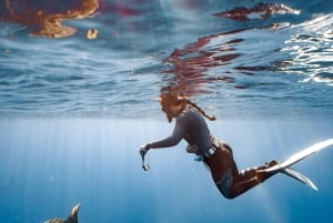 Oahu : Aventure de plongée sans cage avec les requins