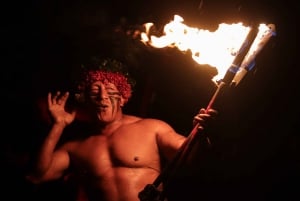Oahu: Chief's Luau-dinershow