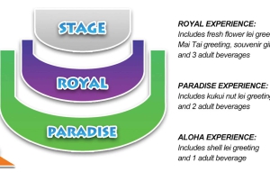 Oahu: Chief's Luau Dinner Show