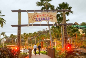 Oahu: Chief's Luau Dinner Show