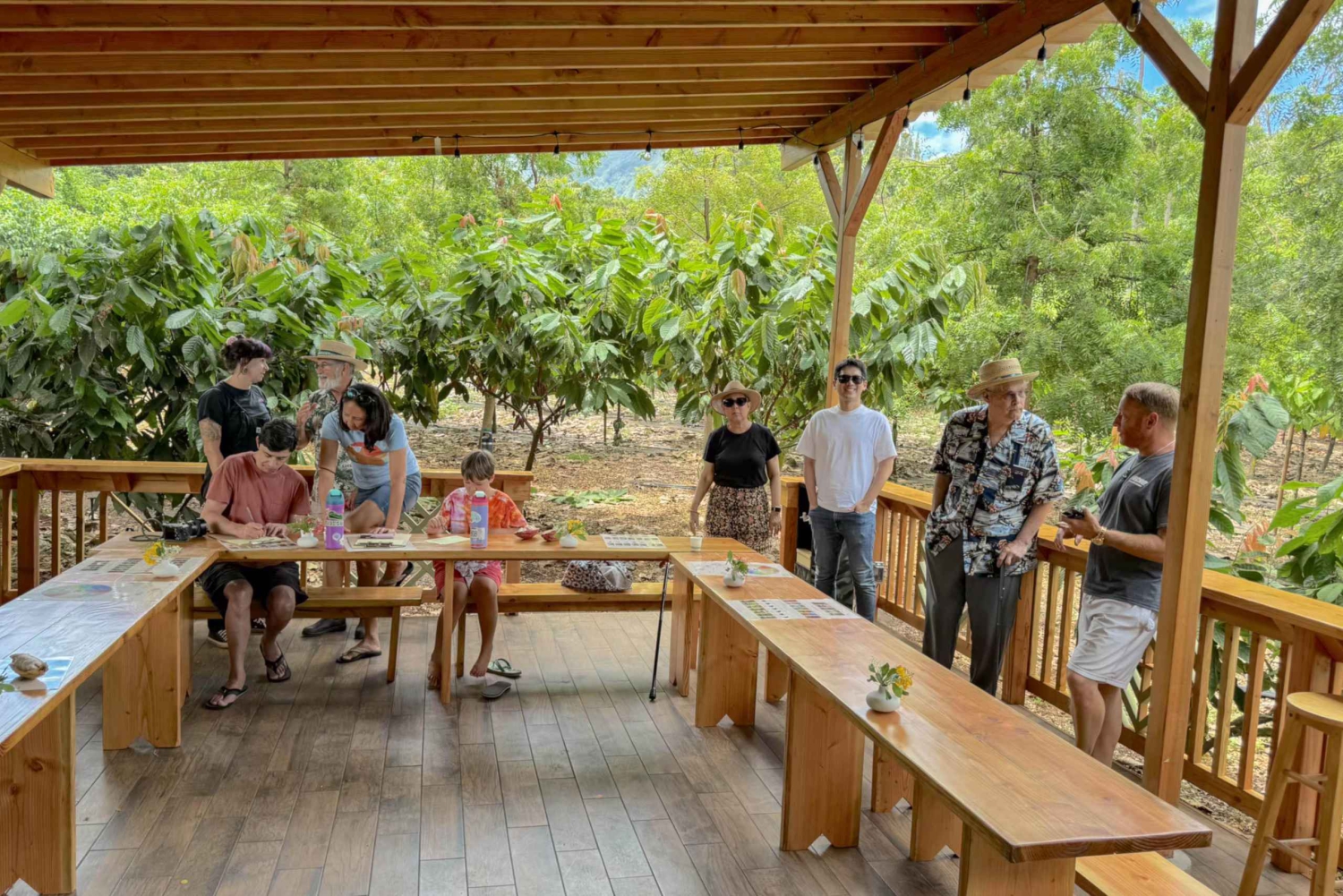 Oahu: Chocolate Farm Tour with Tasting - Kamananui Cacao