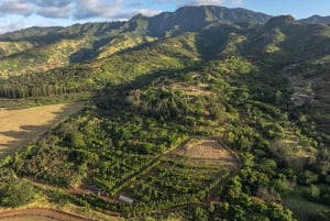 Oahu: Omvisning på sjokoladegård med smaksprøver - Kamananui Cacao