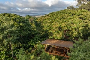 Oahu: Omvisning på sjokoladegård med smaksprøver - Kamananui Cacao