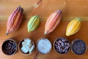 Oahu: Omvisning på sjokoladegård med smaksprøver - Kamananui Cacao