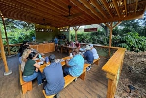 Oahu: Omvisning på sjokoladegård med smaksprøver - Kamananui Cacao