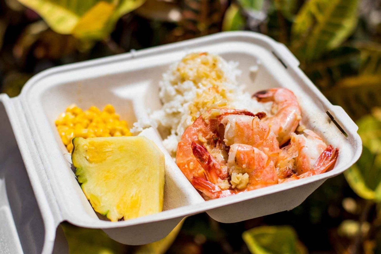 Oahu: dagtrip naar Circle Island met lunch op een bord met garnalen