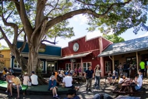 Oahu: dagtrip naar Circle Island met lunch op een bord met garnalen