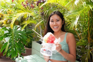 Oahu: Dagstur til Circle Island med reketallerkenlunsj