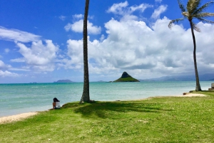Oahu: Dagstur til Circle Island med reketallerkenlunsj
