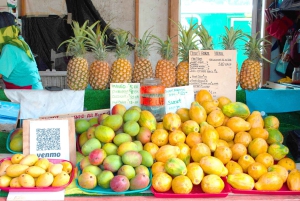 Oahu: Dagstur til Circle Island med reketallerkenlunsj