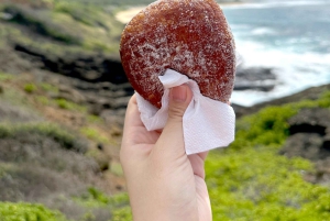 Oahu: Dagstur til Circle Island med reketallerkenlunsj