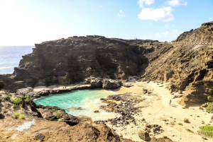 Oahu: Dagstur til Circle Island med reketallerkenlunsj