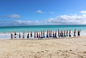 Oahu: North Shore Circle Island Full-Day Tour w/ Snorkeling