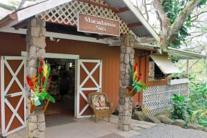 Oahu: Circle Island Schnorchel Tour