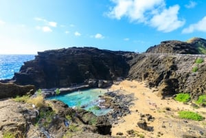 Oahu : Excursion de plongée en apnée sur l'île Circle