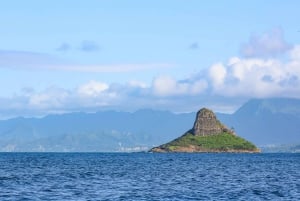 Oahu: tour di snorkeling a Circle Island