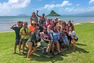 Oahu: snorkeltour op Circle Island