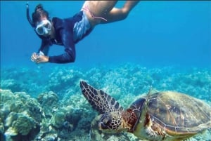 Oahu : Excursion de plongée en apnée sur l'île Circle