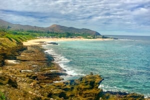 Oahu: Circle Island Top Sights Full-Day Tour w/ Local Guide