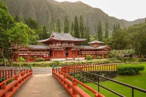 Oahu: Circle Island Top Sights Full-Day Tour w/ Local Guide