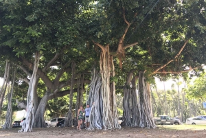 Oahu Circle Island Tour - Best Spots & Beaches
