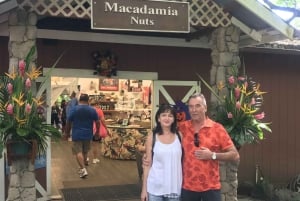 Rondreis rond het eiland Oahu - Beste plekken en stranden