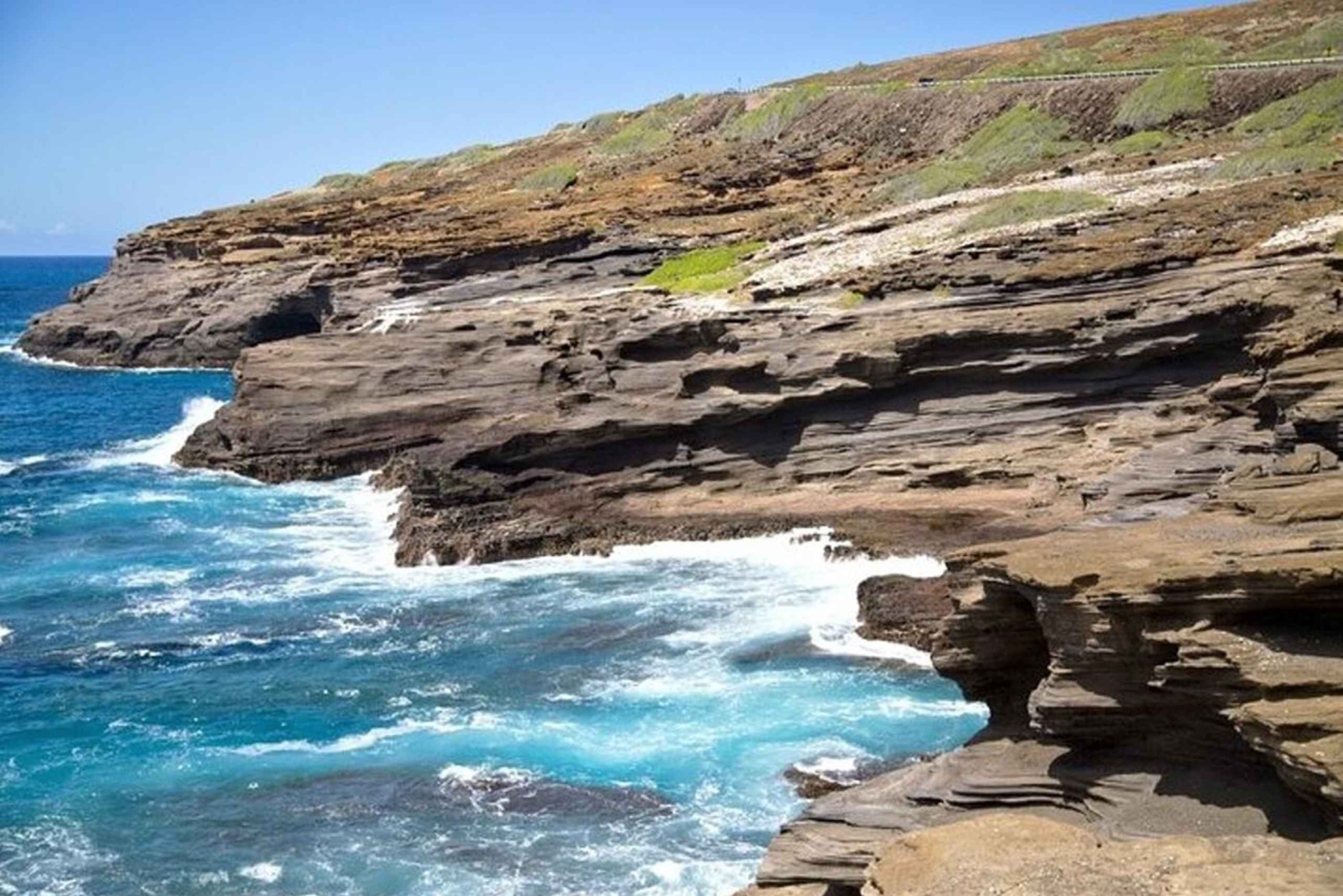 Oahu-sirkeltur med adgang til Byodo-In-tempelet