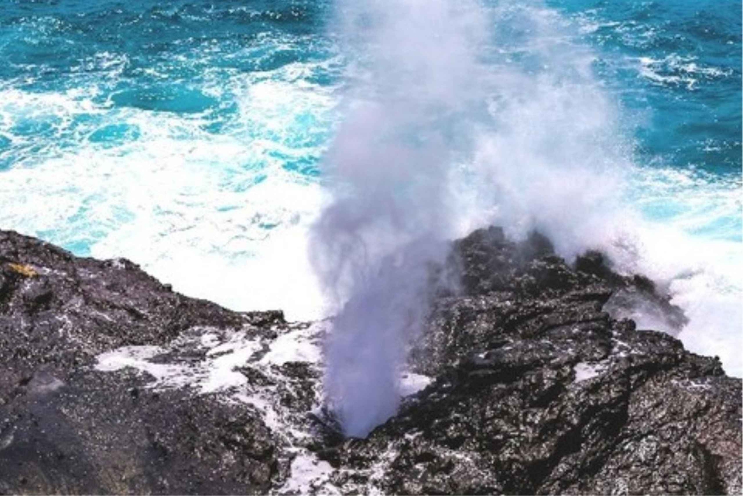 Oahu-sirkeltur med adgang til Byodo-In-tempelet