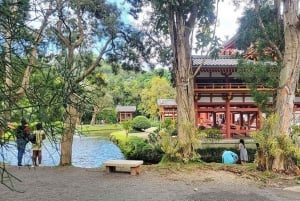 Oahu Circle Island Tour mit Besuch des Byodo-In Tempels
