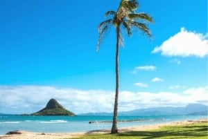 Oahu Circle Island Tour mit Besuch des Byodo-In Tempels