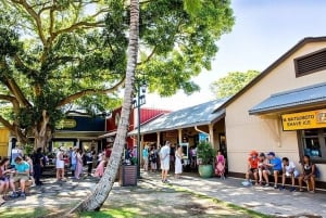Oahu Circle Island Tour med adgang til Byodo-In-templet