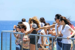 Oahu-sirkeltur med adgang til Byodo-In-tempelet